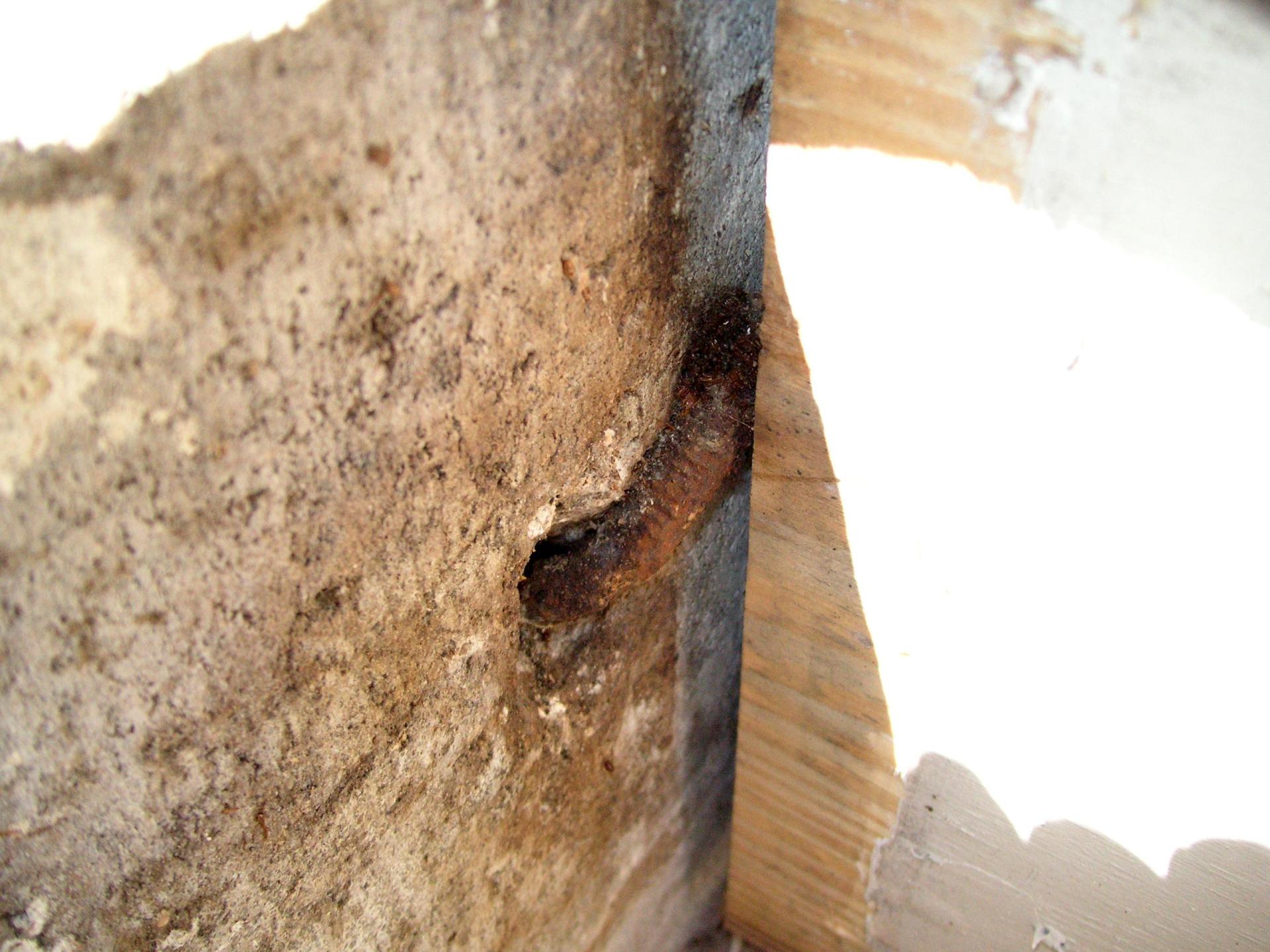2022-04-25_Wing-wall-build_06