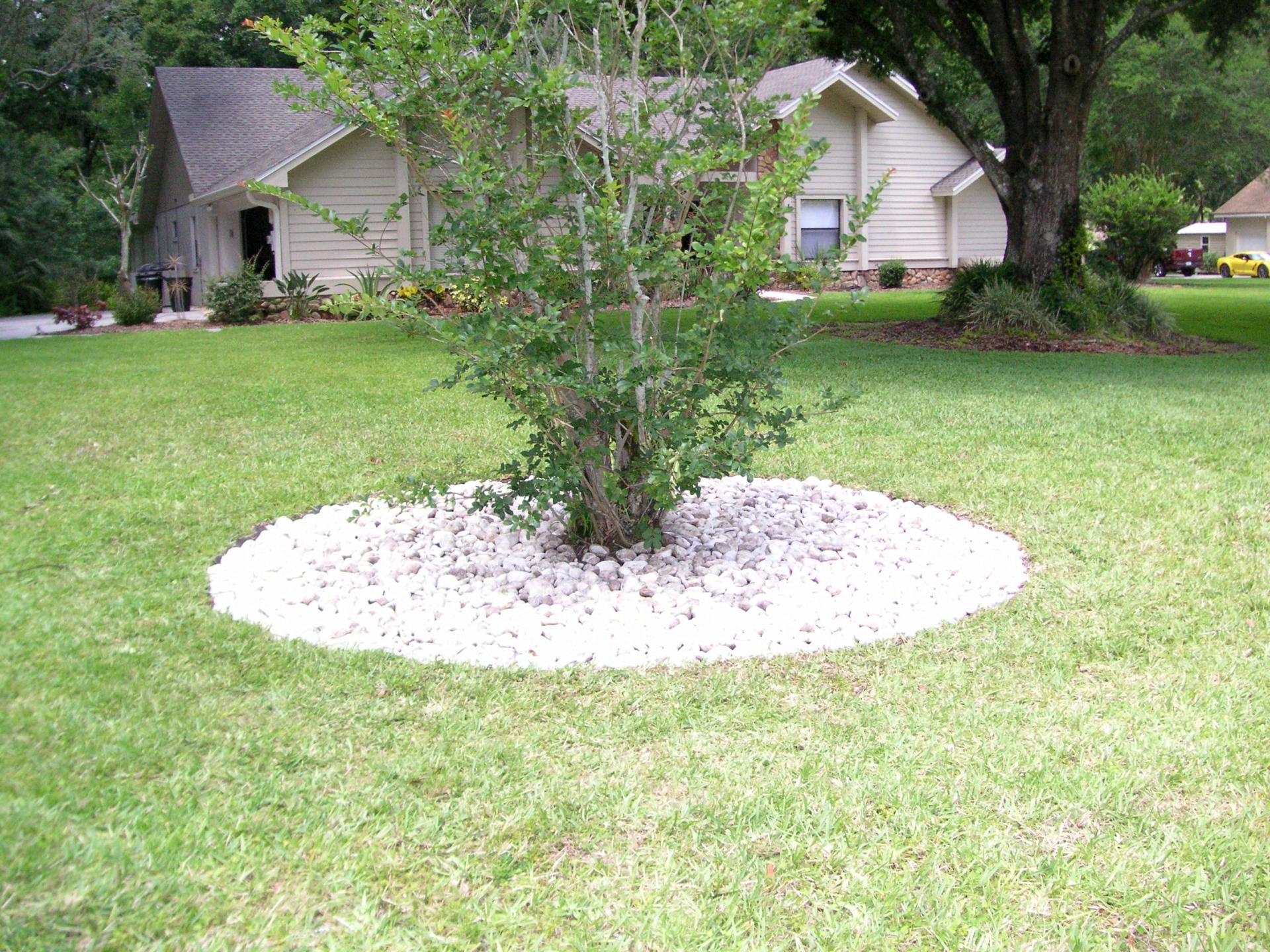 2022-05-08_Crepe-myrtle-hardscape_01.jpg