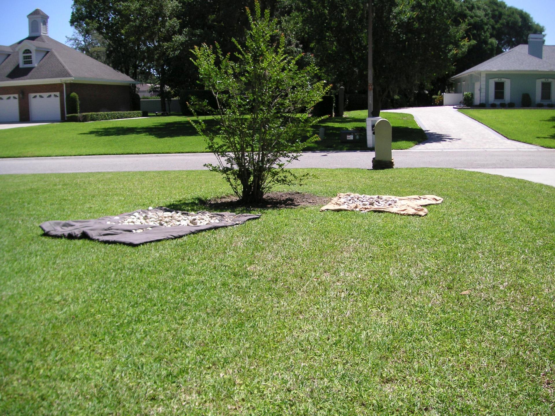 2022-05-08_Crepe-myrtle-hardscape_03