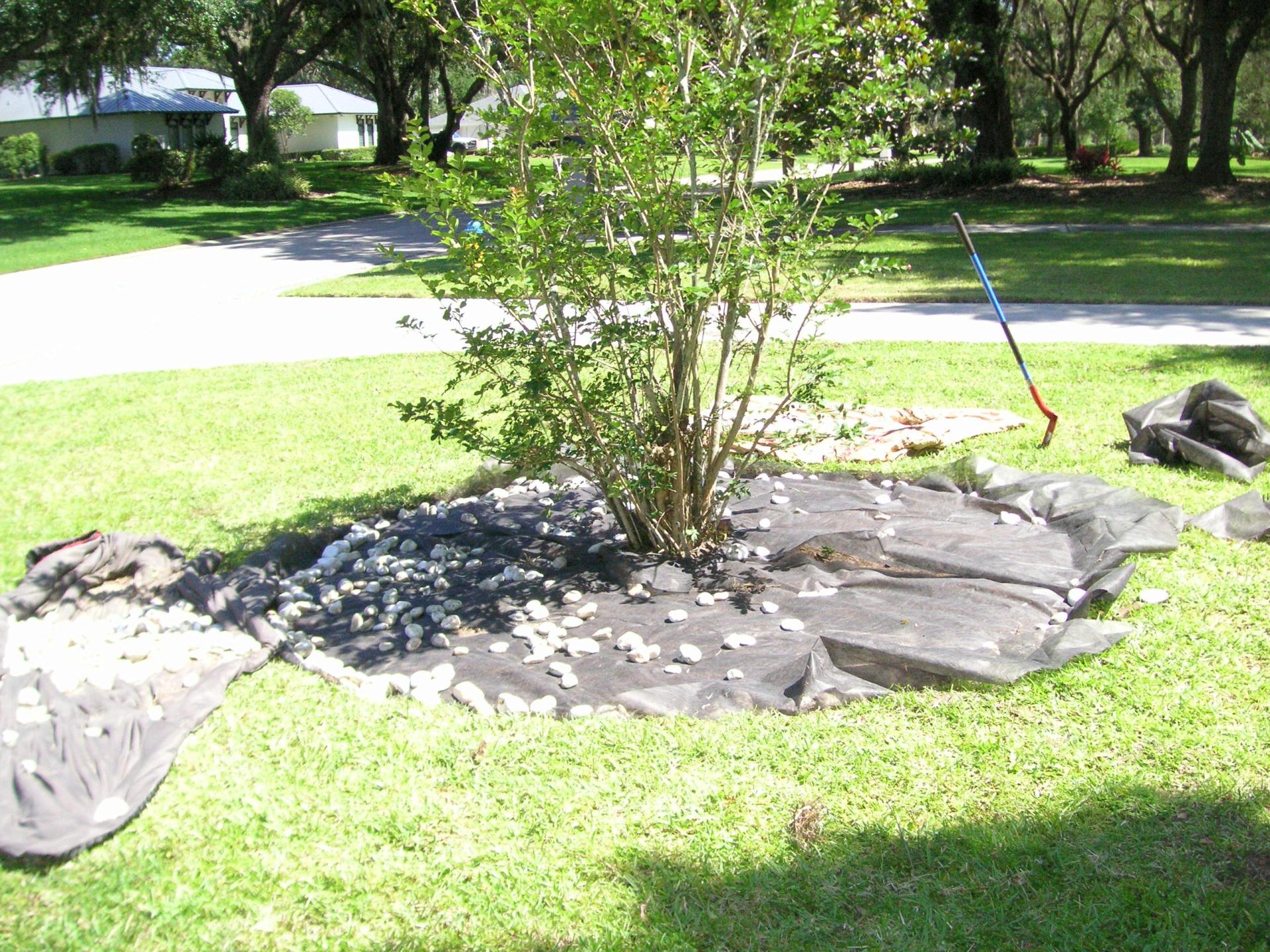 2022-05-08_Crepe-myrtle-hardscape_11