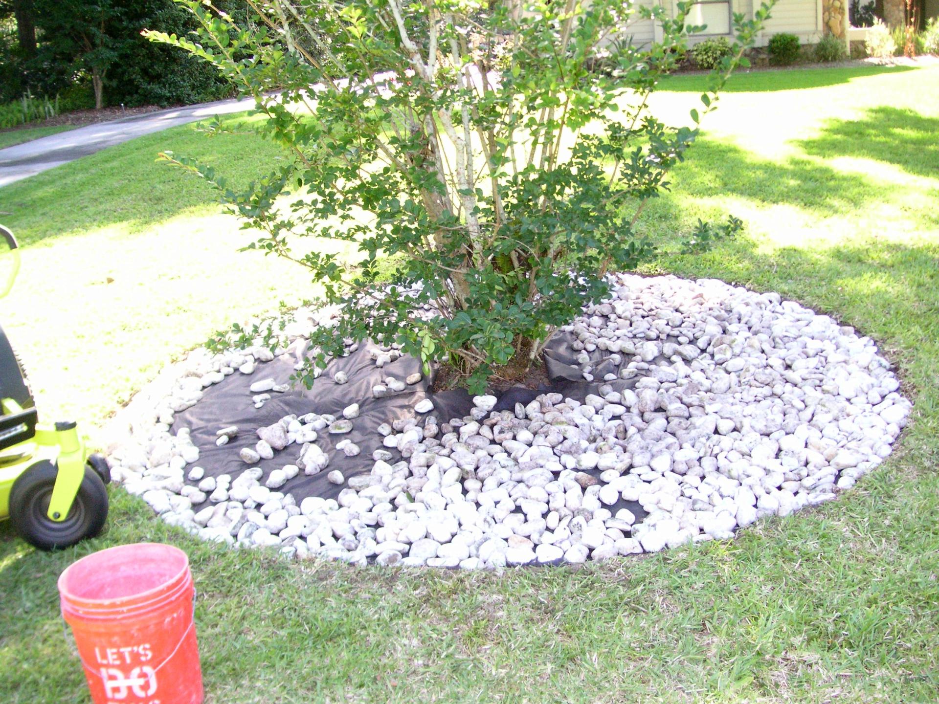 2022-05-08_Crepe-myrtle-hardscape_12