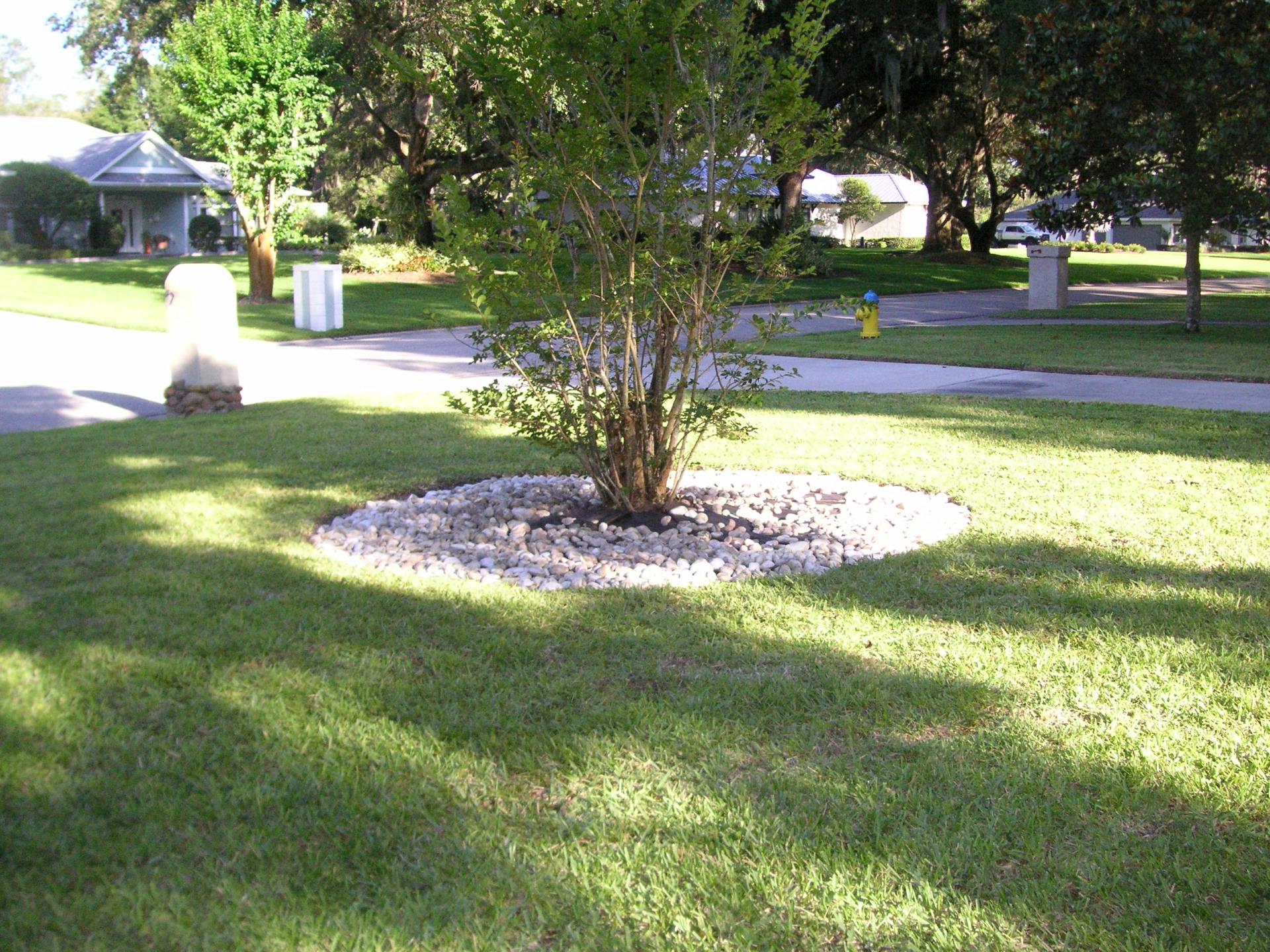 2022-05-08_Crepe-myrtle-hardscape_13