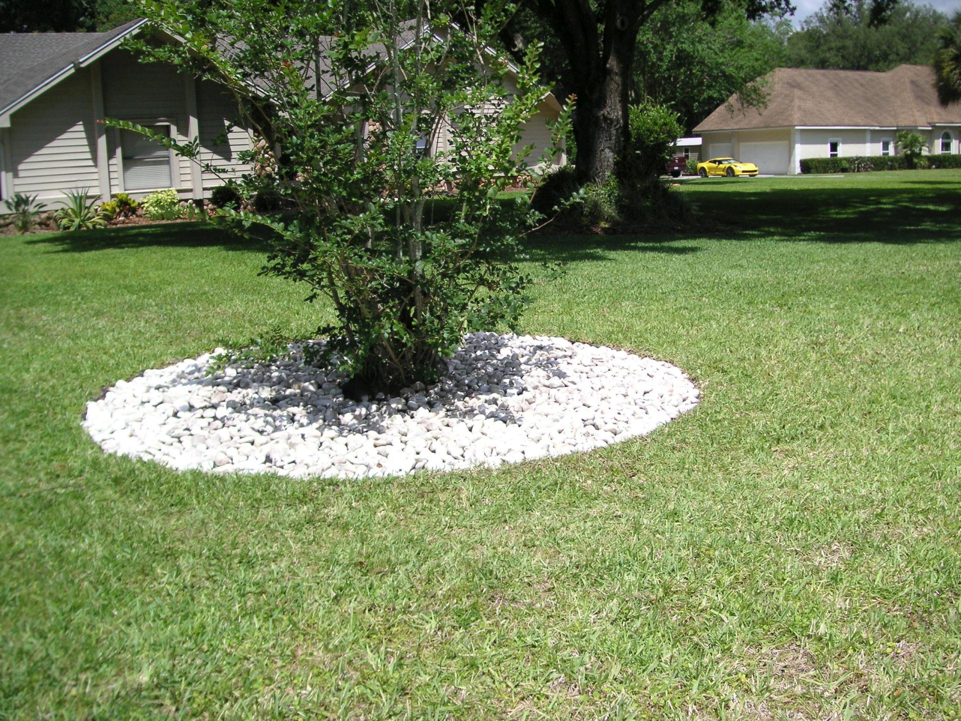 2022-05-08_Crepe-myrtle-hardscape_15