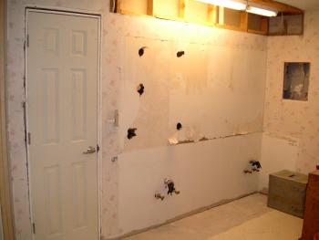 Main bathroom wall demo