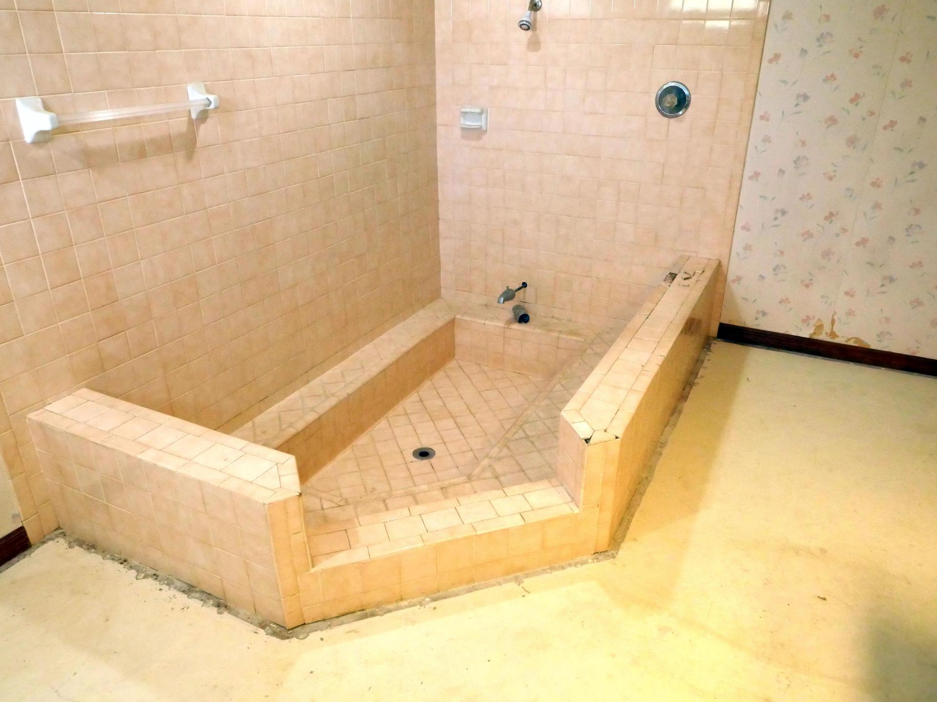 Bathroom-remodel-start_01.jpg