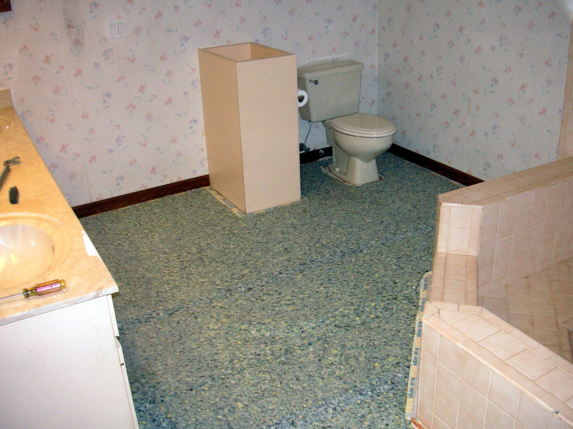 Bathroom-remodel-start_02