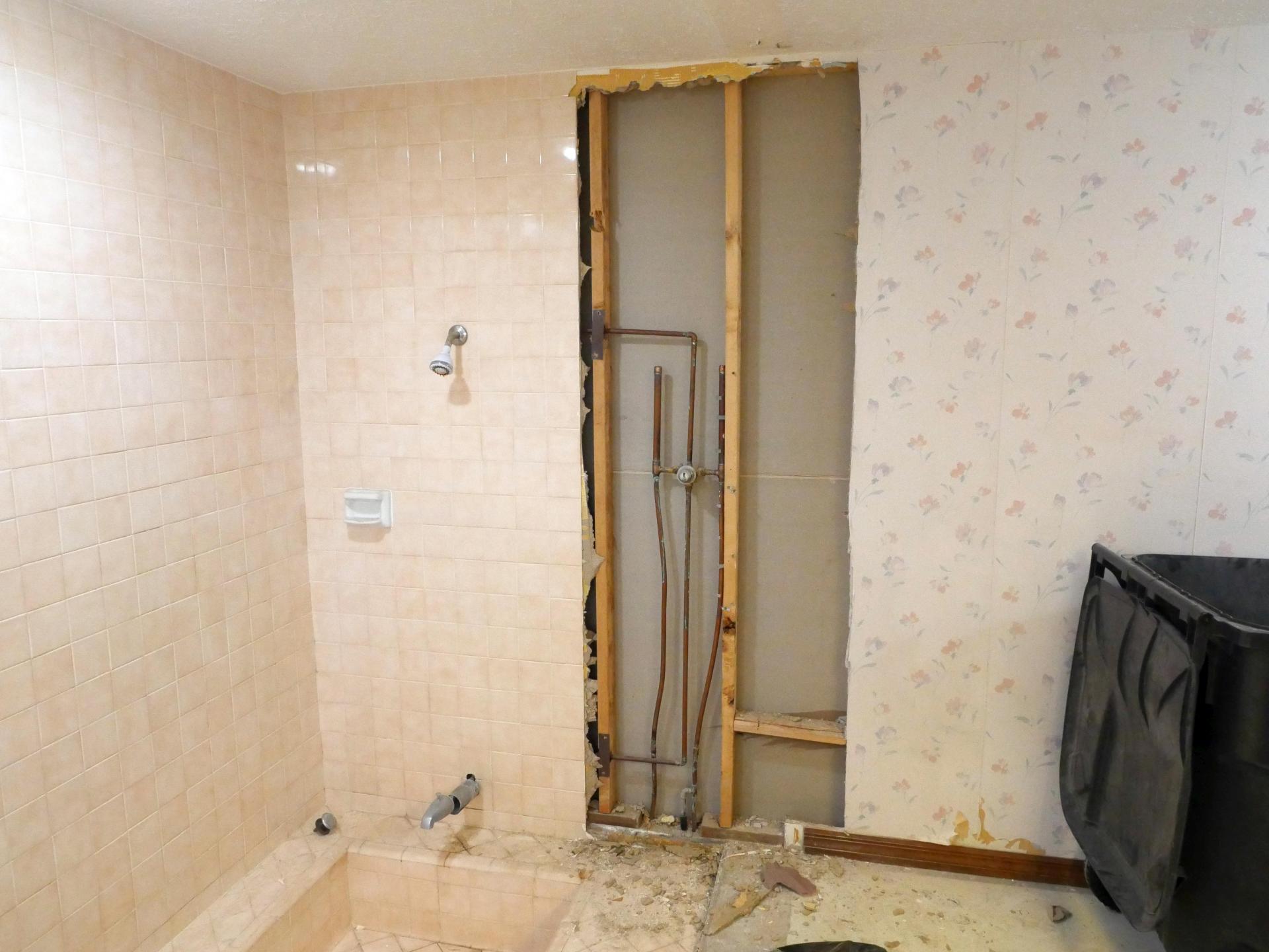 Bathroom-remodel-start_50