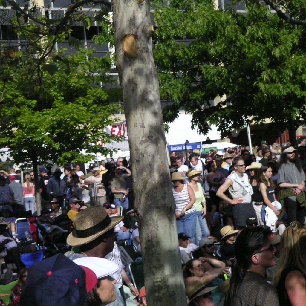 San_Jose_Blues-Festival_2005-05-14x05-19-57 The crowd at the San Jose Blues festival, May 14th, 2005.