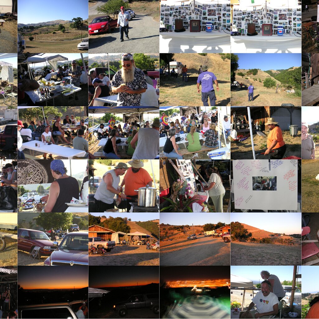 Contact-sheet A contact sheet of the images in this folder.