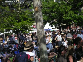 2005-05-14_Blues-festival